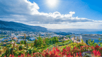 Panoramic view of Funchal and the Atlantic Ocean from a hillside garden, concluding the 6-days hiking Madeira’s trails.