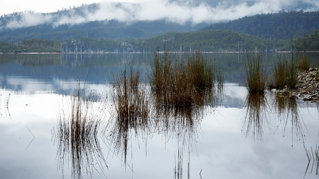 Lagoon with reeds and mountains in the background