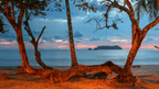 Costa Rica Pura Vida: Volcanoes, Cloud Forests & Wild Coasts | San José → San José (9/16 Days)