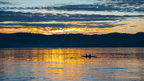 Gordon River Kayaking | 7‑Day Wilderness Paddle in World Heritage Tasmania