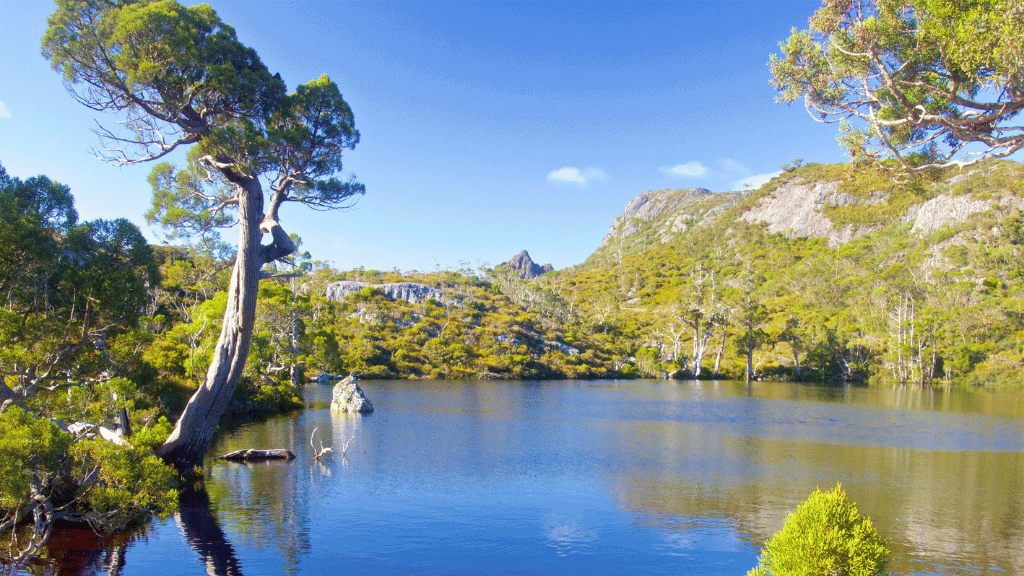 Cradle Mountain Explorer | 4-Day Guided Hike Through Tasmania’s Wild Heart