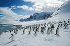 Edge of the Earth: Antarctica by Expedition Ship | 11-Days Ushuaia Roundtrip