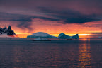 Edge of the Earth: Antarctica by Expedition Ship | 11-Days Ushuaia Roundtrip