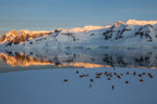 Edge of the Earth: Antarctica by Expedition Ship | 11-Days Ushuaia Roundtrip
