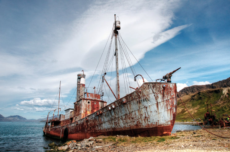 Edge of the Earth: Antarctica by Expedition Ship | 11-Days Ushuaia Roundtrip