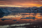 Edge of the Earth: Antarctica by Expedition Ship | 11-Days Ushuaia Roundtrip