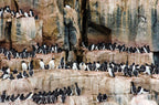 Edge of the Earth: Antarctica by Expedition Ship | 11-Days Ushuaia Roundtrip