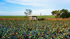Tourists observe wetlands from viewing shelter on Kakadu Katherine Gorge Tour | 4-Day Comfort Travel. Birdwatching and nature photography spot.