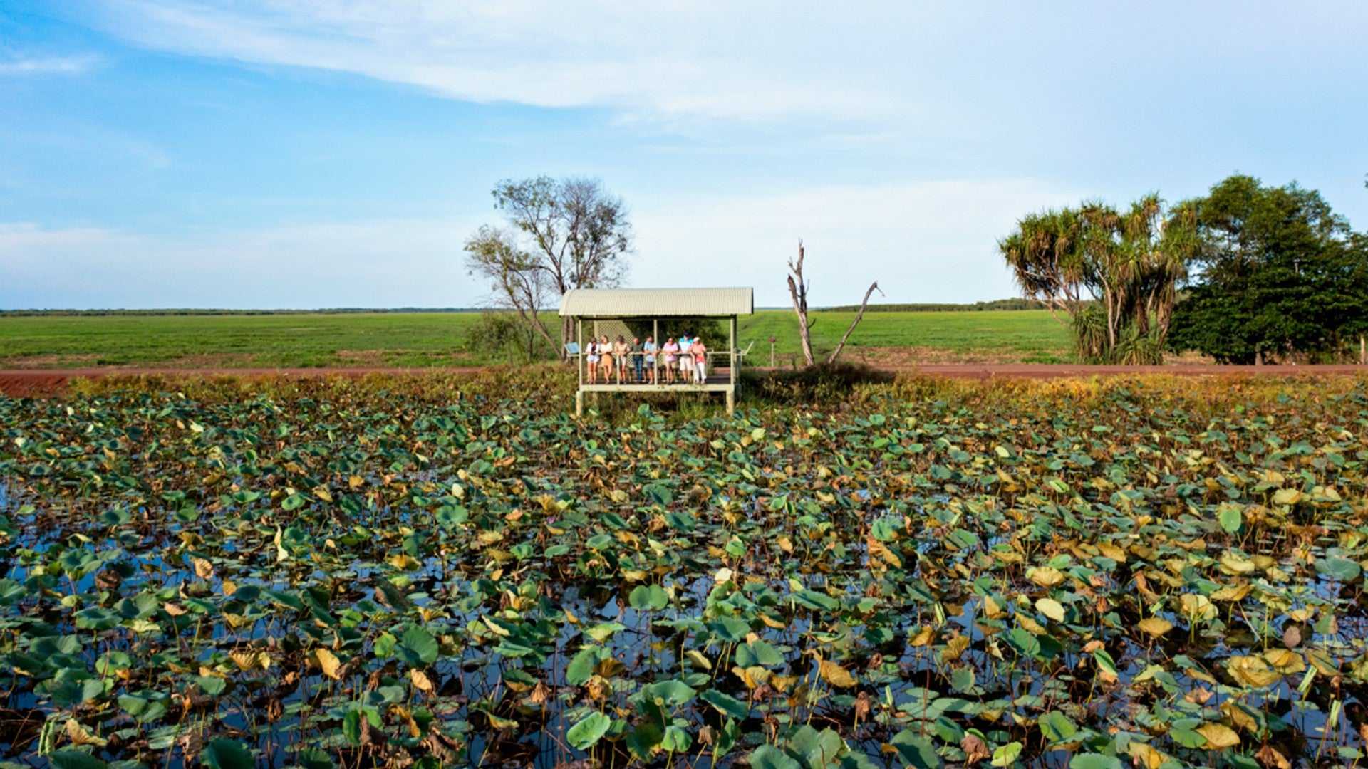 Tourists observe wetlands from viewing shelter on Kakadu Katherine Gorge Tour | 4-Day Comfort Travel. Birdwatching and nature photography spot.