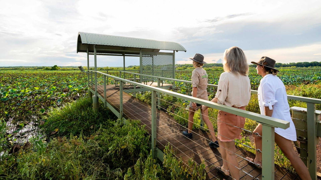 Tourists walk along boardwalk through wetlands on Kakadu Katherine Gorge Tour | 4-Day Comfort Travel. Guided nature walk with scenic views.