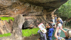 Tour group photographs Aboriginal rock art under cliff on Kakadu Katherine Gorge Tour | 4-Day Comfort Travel. Cultural heritage exploration.