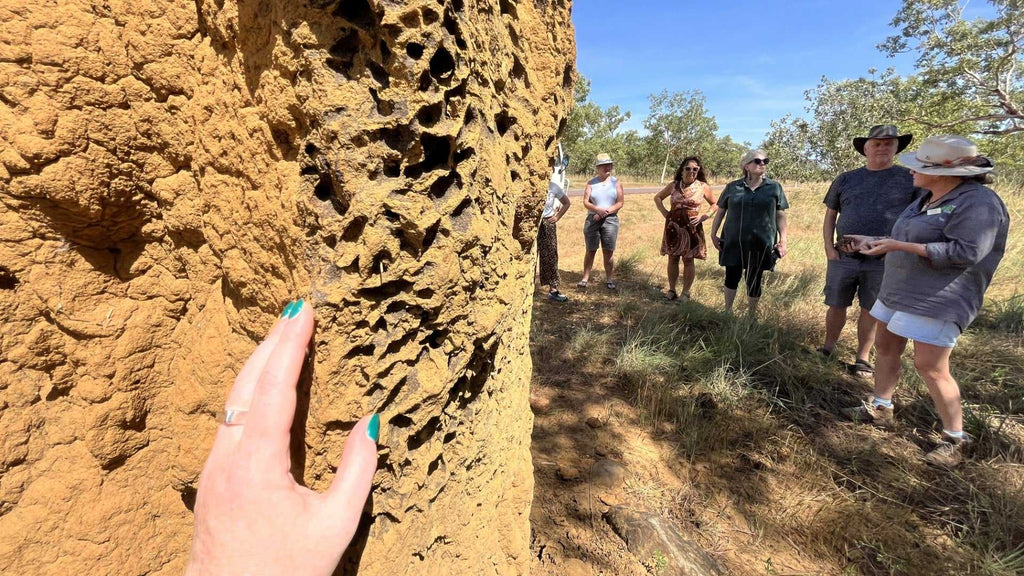 Tour group examines termite mound on Kakadu Katherine Gorge Tour | 4-Day Comfort Travel. Educational nature walk in Australia's outback.