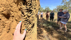 Tour group examines termite mound on Kakadu Katherine Gorge Tour | 4-Day Comfort Travel. Educational nature walk in Australia's outback.