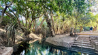 Natural thermal spring surrounded by forest on Kakadu Katherine Gorge Tour | 4-Day Comfort Travel. Relaxing stop in tropical setting.