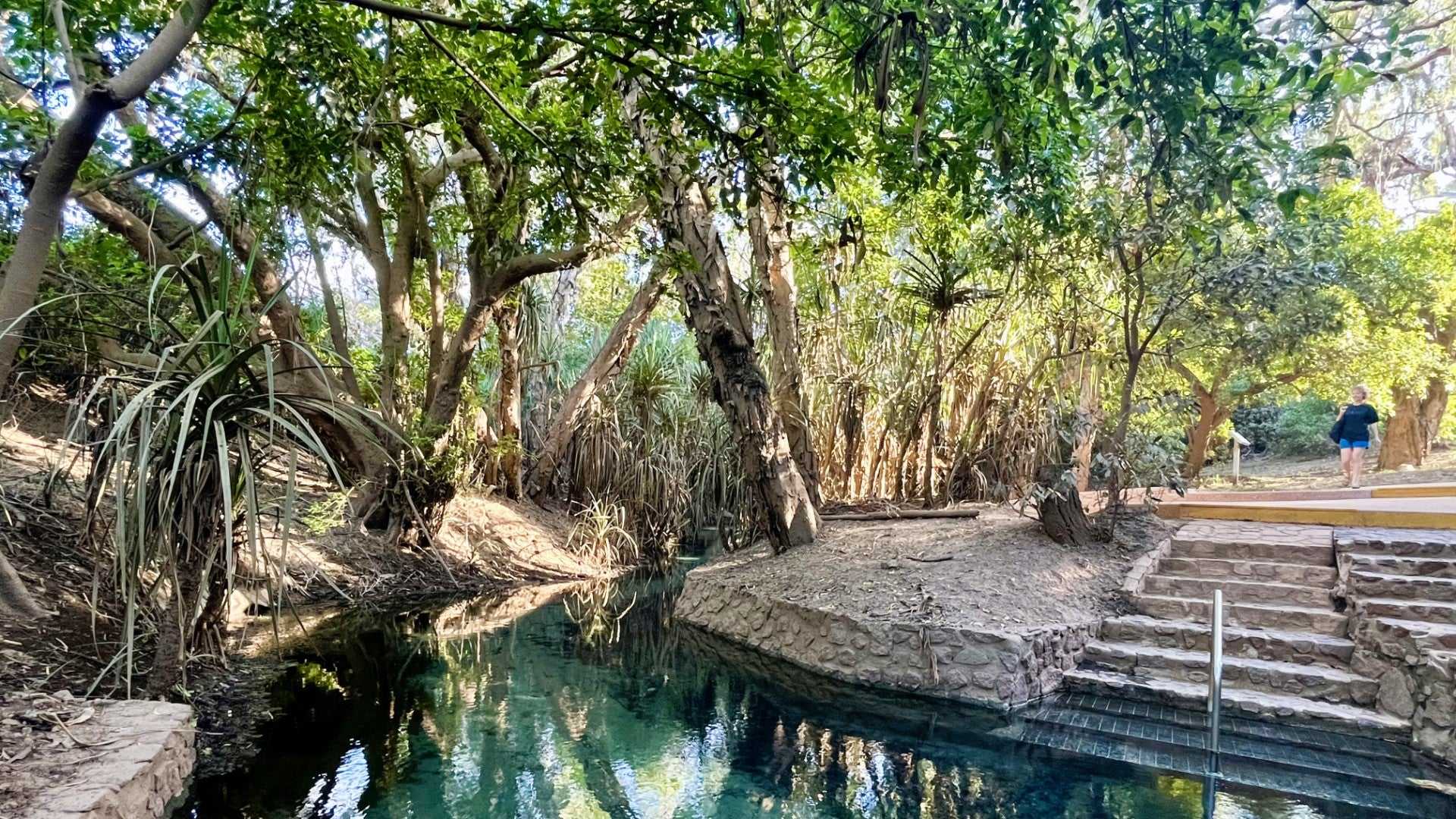 Natural thermal spring surrounded by forest on Kakadu Katherine Gorge Tour | 4-Day Comfort Travel. Relaxing stop in tropical setting.