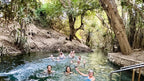 Group swims in natural thermal pool on Kakadu Katherine Gorge Tour | 4-Day Comfort Travel. Relaxing moment in lush tropical setting.