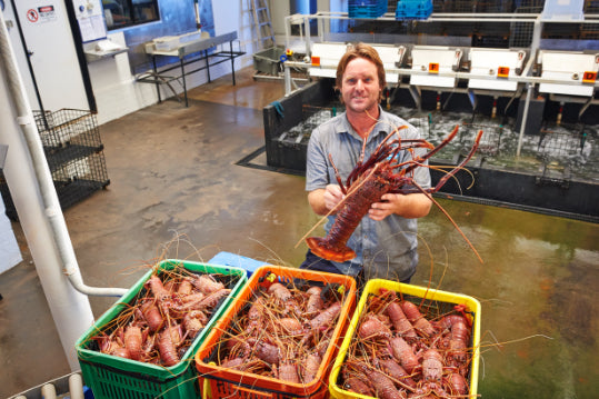 Perth Coral Coast Discovery: Lobster, Lavender & Pinnacles Day Tour