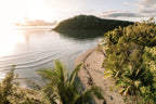 3 Day Daintree Rainforest, Cape Tribulation & Port Douglas Tour from Cairns