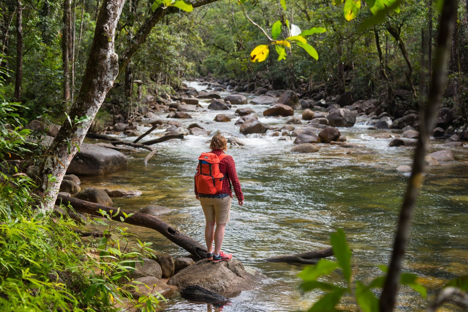 Hiker explores rainforest stream in Far North Queensland on the Brisbane to Cairns Whitsundays Reef Tour. Ideal for active explorers.