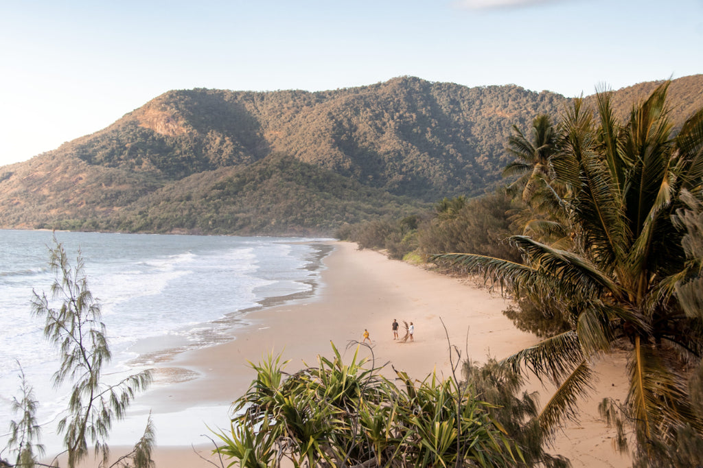 3 Day Daintree Rainforest, Cape Tribulation & Port Douglas Tour from Cairns