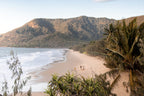 3 Day Daintree Rainforest, Cape Tribulation & Port Douglas Tour from Cairns