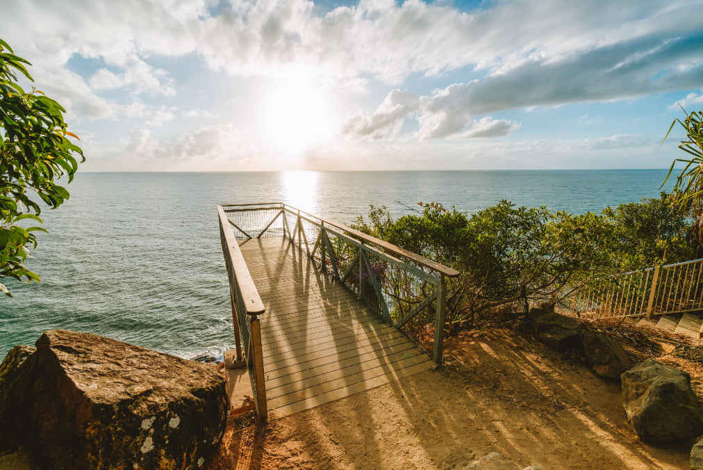 3 Day Daintree Rainforest, Cape Tribulation & Port Douglas Tour from Cairns