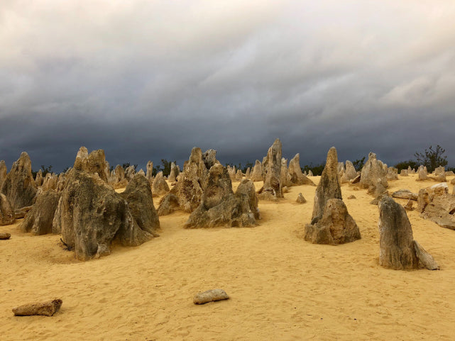 Pinnacles Sunset & Stargazing Eco Day Tour from Perth