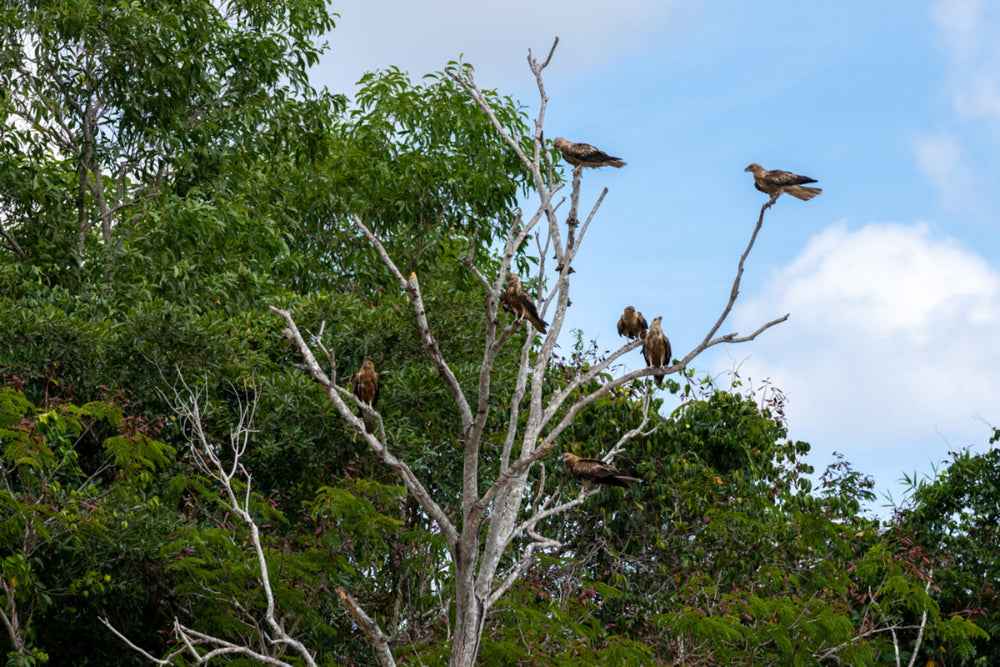 8 Day West Coast Explorer from Perth to Exmouth