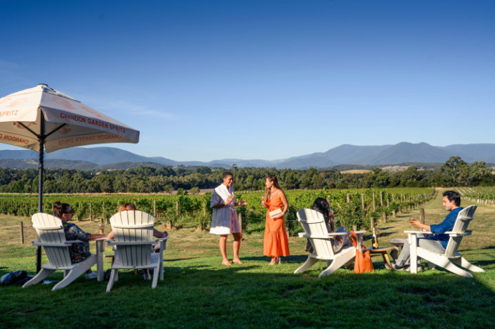 Yarra Valley Wine Tasting & Gourmet Day Tour from Melbourne