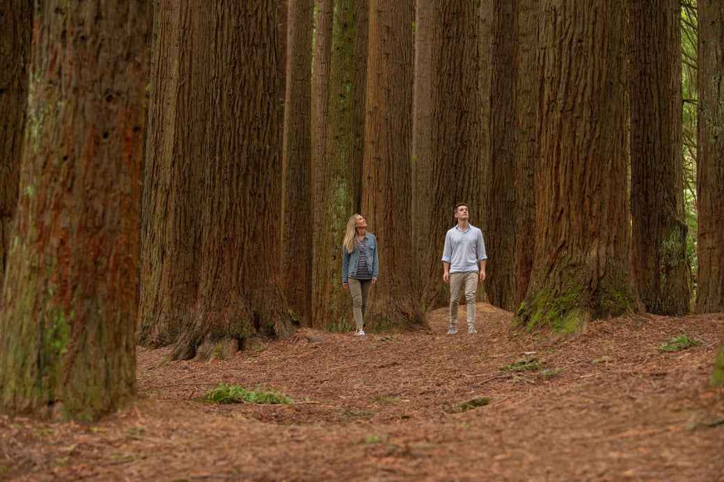 3 Day Great Ocean Road & Grampians Tour from Melbourne