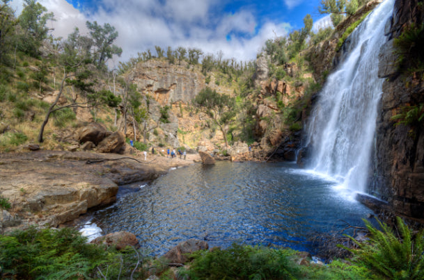 Grampians National Park Day Tour from Melbourne: Wildlife, Waterfalls & Aboriginal Culture Discovery