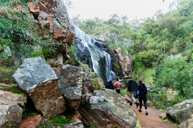 Grampians National Park Day Tour from Melbourne: Wildlife, Waterfalls & Aboriginal Culture Discovery