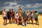 Pinnacles Sunset & Stargazing Eco Day Tour from Perth