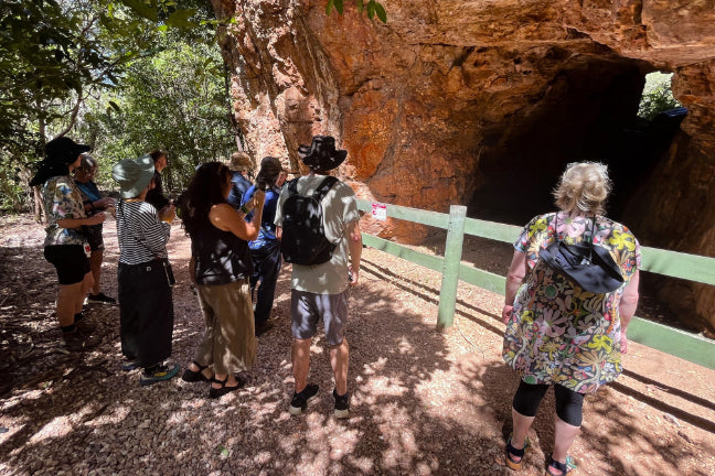 Kakadu Rock Art & Crocodile Day Tour from Darwin