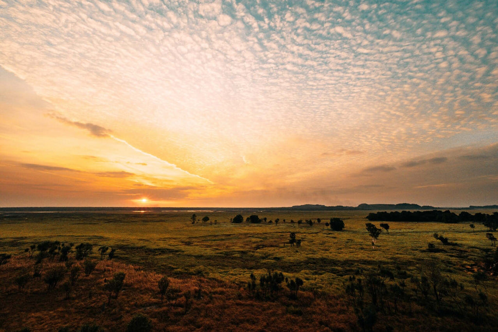Top End 4×4 | Kakadu, Katherine & Litchfield 5-Day Camping Adventure