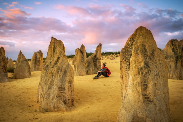 Pinnacles Sunset & Stargazing Eco Day Tour from Perth