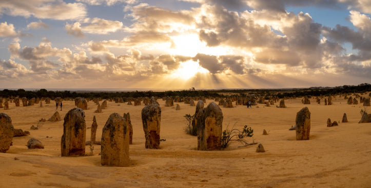 Pinnacles Sunset & Stargazing Eco Day Tour from Perth