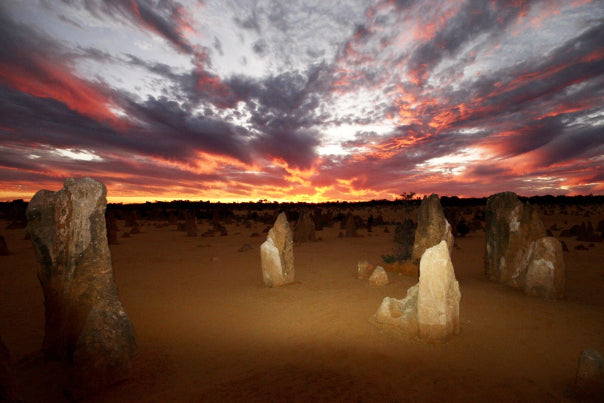 Pinnacles Sunset & Stargazing Eco Day Tour from Perth