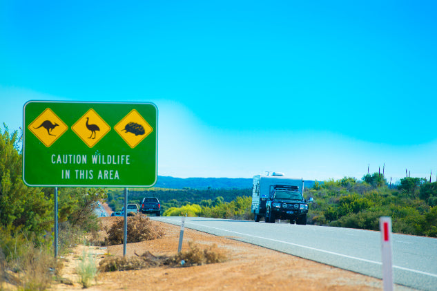 Pinnacles Sunset & Stargazing Eco Day Tour from Perth