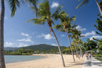 The Ultimate East Coast Adventure |  Sydney → Cairns with K’gari, Whitsundays & Daintree (14 or 16-Day)