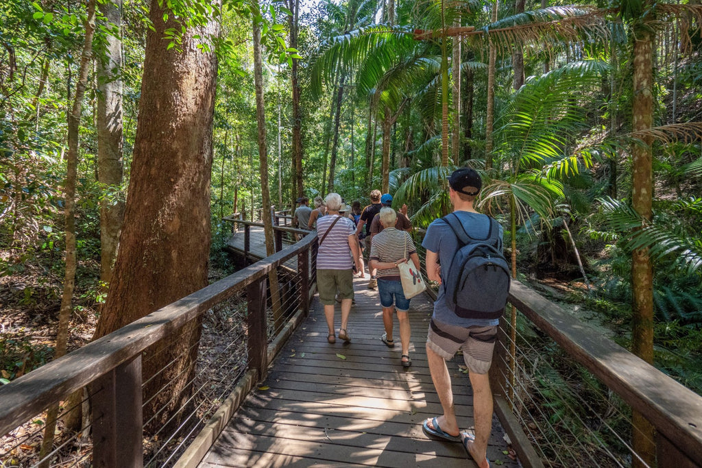Byron, Noosa & K’gari | Sydney → Brisbane (8 Days of East Coast Essentials)