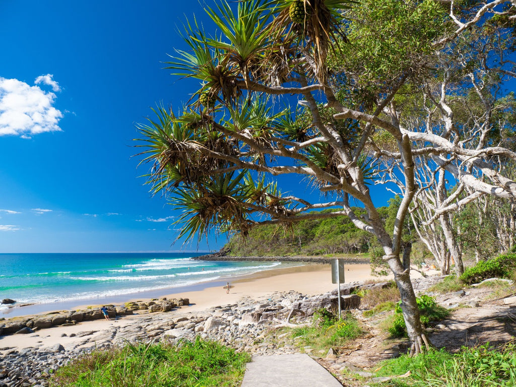 Byron, Noosa & K’gari | Sydney → Brisbane (8 Days of East Coast Essentials)