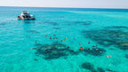 The Ultimate East Coast Adventure |  Sydney → Cairns with K’gari, Whitsundays & Daintree (14 or 16-Day)