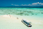 The Ultimate East Coast Adventure |  Sydney → Cairns with K’gari, Whitsundays & Daintree (14 or 16-Day)