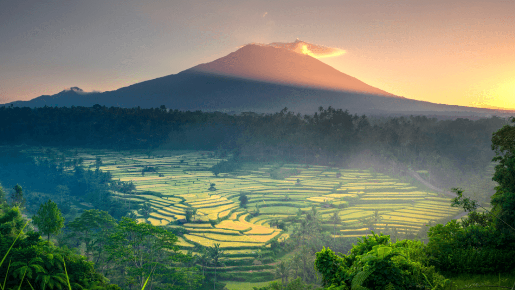 Icons of Bali | 12 Days of Surf, Temples & Turtles