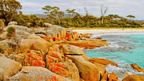 Rocks with orange lichen on a beach with turquoise water and green trees in the background