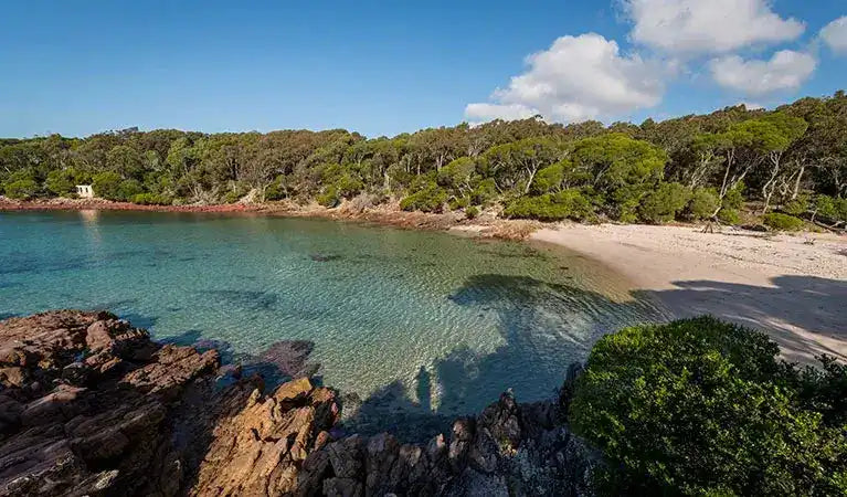 Beach with clear water, rocks, and trees under a blue sky.