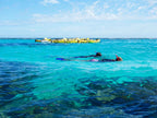 Two snorkelers exploring vibrant coral reefs near yellow kayaks on the Ningaloo Safari coastal adventure. Great for marine wildlife encounters.