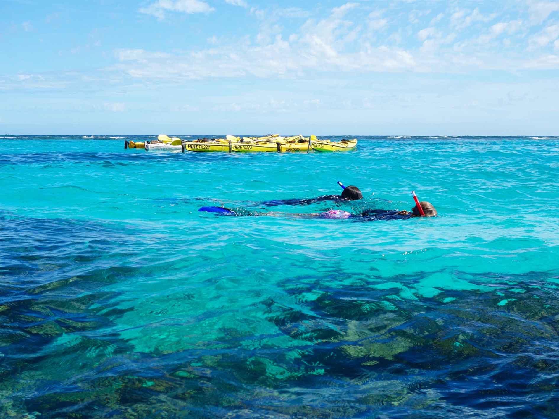 Two snorkelers exploring vibrant coral reefs near yellow kayaks on the Ningaloo Safari coastal adventure. Great for marine wildlife encounters.