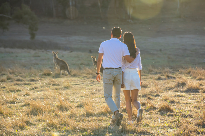 Blue Mountains Sunset Tour from Sydney